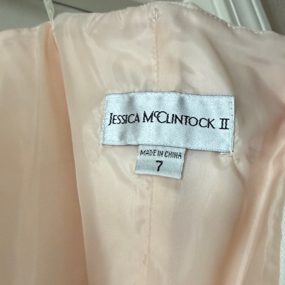 Jessica McClintock Blush Pink and Silver Embroidered Tulle Mini Dress - Picture 5 of 5